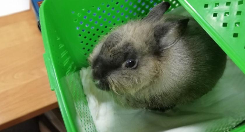 Przeżył dzięki człowiekowi dobrego serca