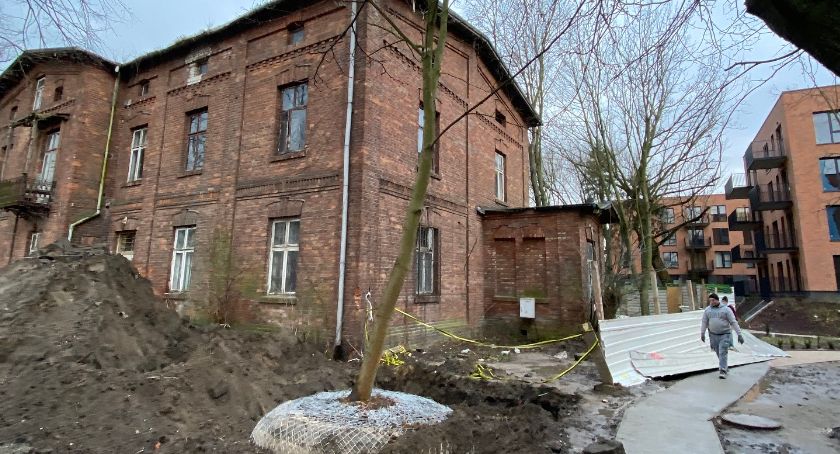 6 drzew na Białołęce zmienia lokalizację