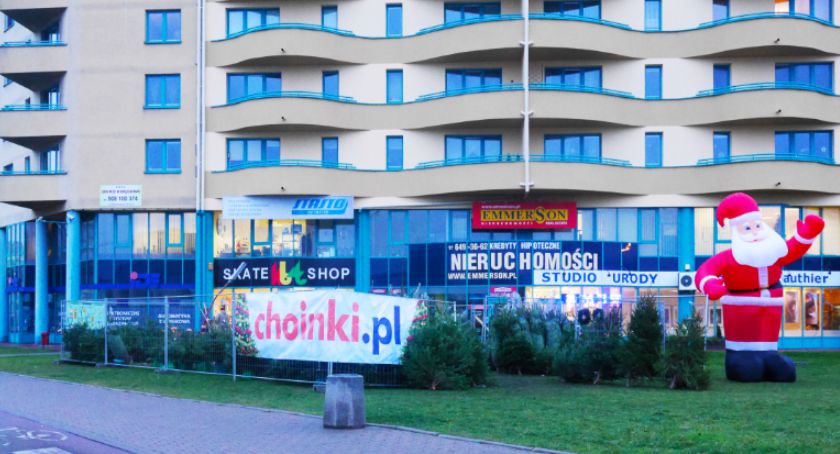 Gdzie i za ile kupimy choinkę? Informacja dla spóźnialskich