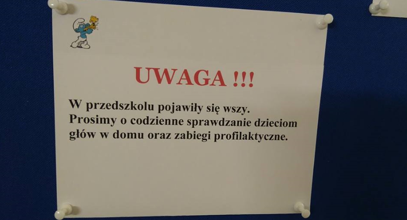 Wszawica powraca. Tylko wspólne działanie przyniesie efekty!