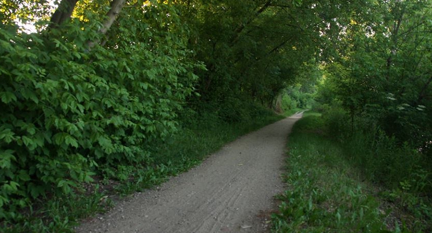 Uratujmy ścieżkę nad Kanałem Żerańskim