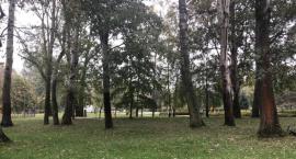 Park Picassa - tam rządzą teraz robotnicy