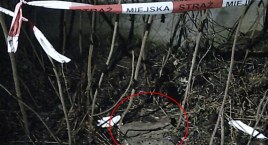 Nieopodal centrum ogrodniczego znaleziono niewybuch