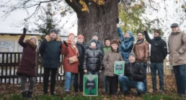 Drzewo Roku 2024. Dąb Robert też walczy o ten tytuł!