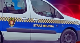 W zimnie i z pijaną matką. Dzieci w rozpaczy na przystanku Milenijna 2