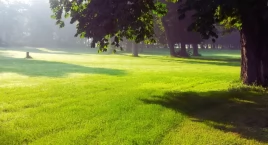 Powstaje Park Żerański. Jak ma wyglądać?