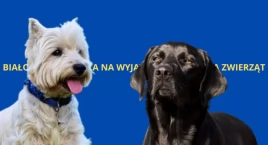 Kolejne Targi dla Zwierzaków przed nami!