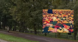 Złota jesień na Białołęce. Czyli najpiękniejsze park…