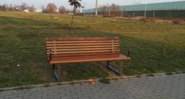 Będą kolejne nowe ławki w dzielnicy. Zobacz gdzie