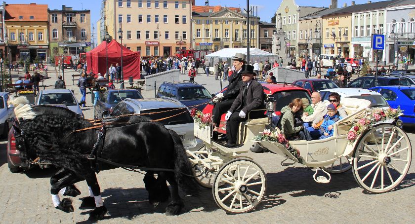 Miłość z wzajemnością do koni i nie tylko.... 