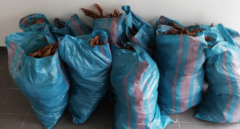 Skonfiskowali nielegalny tytoń