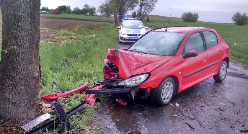 Skończyła podróż na drzewie