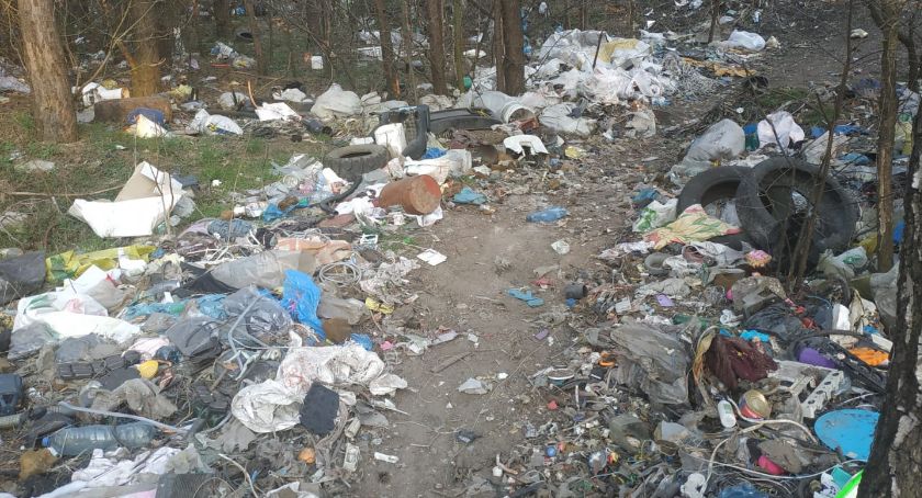 Śmieci do lasu zamiast na wysypisko