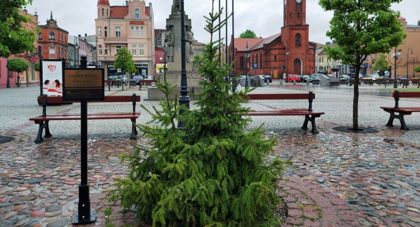 Prezent od miasta dla przedsiębiorców