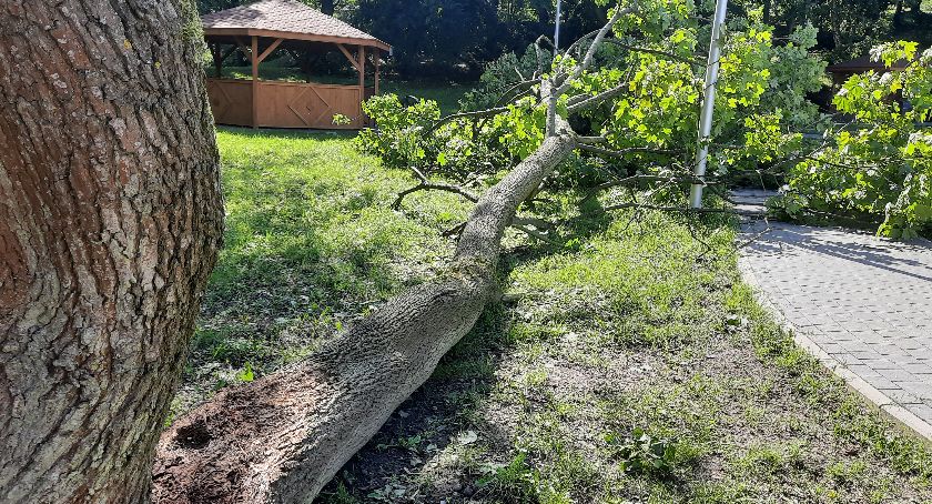 Bez większych strat po nawałnicach w regionie