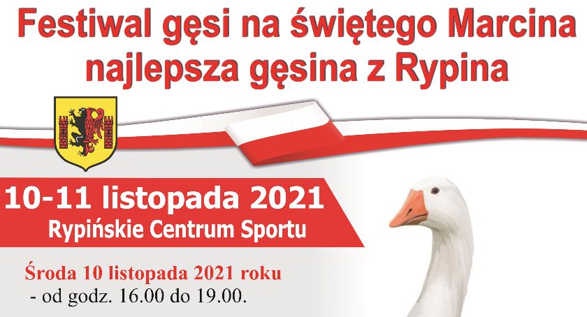 Na świętego Marcina najlepsza gęsina z Rypina