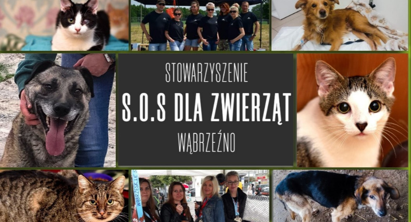 Mieszkańcy rozdysponowali 300 tys. zł z budżetu miasta