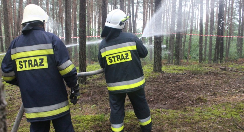 Pożary największą zmorą lasów