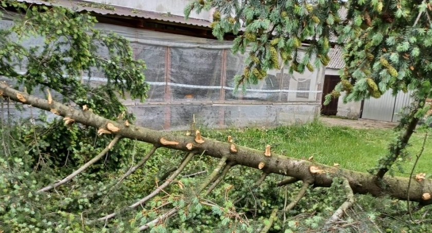 Najwięcej zdarzeń w gminie Ryńsk