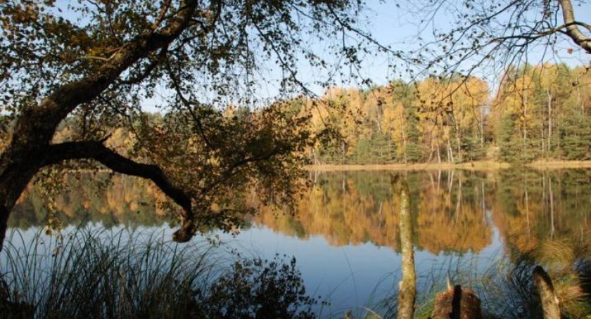 Rezerwat Biosfery Bory Tucholskie