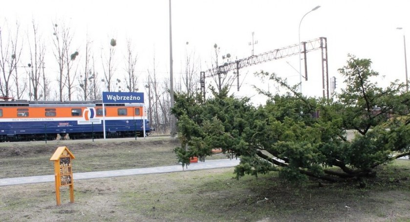 Walczą o pociągi w Wąbrzeźnie