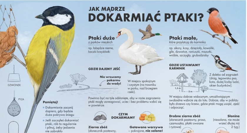 Przeloty ptaków fenomenem przyrody
