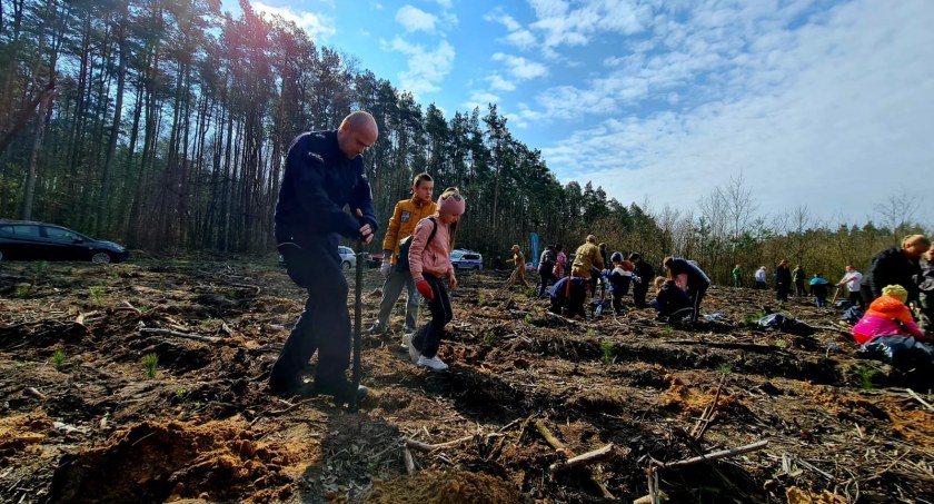 Ogólnopolska kampania „Łączą nas drzewa”