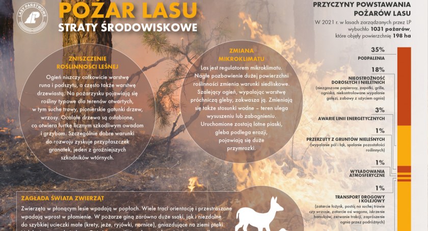 Uważajmy w lesie! Zaczyna się sezon pożarów