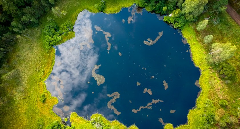 Światowy Dzień Ochrony Środowiska