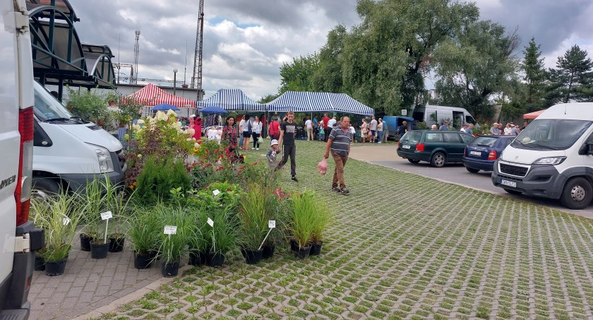 Wielu chciałoby się potargować!