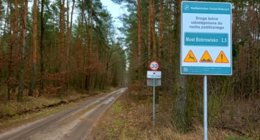 Dlaczego Lasy Państwowe pomagają budować drogi