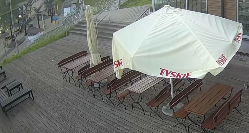Wandalizm albo bezmyślność