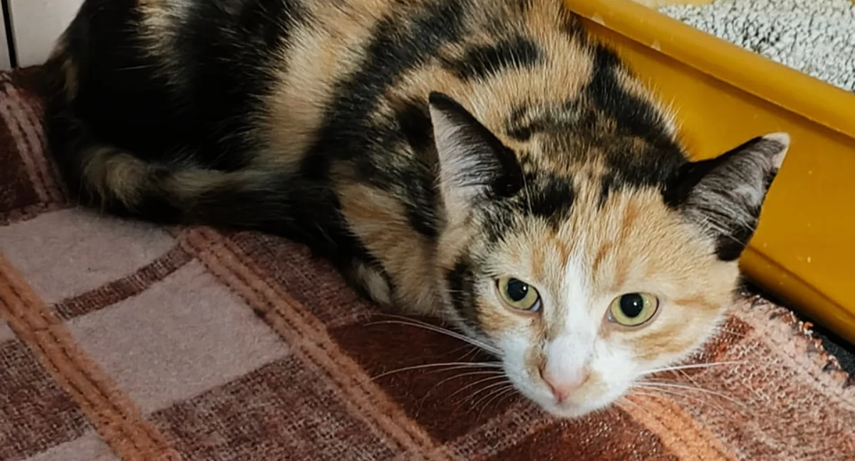 Młodociana matka czeka na adopcję