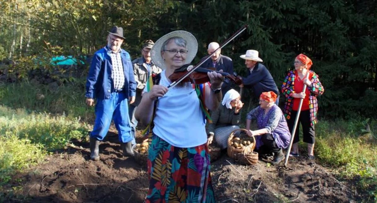 Seniorzy na wykopkach [zdjęcia]