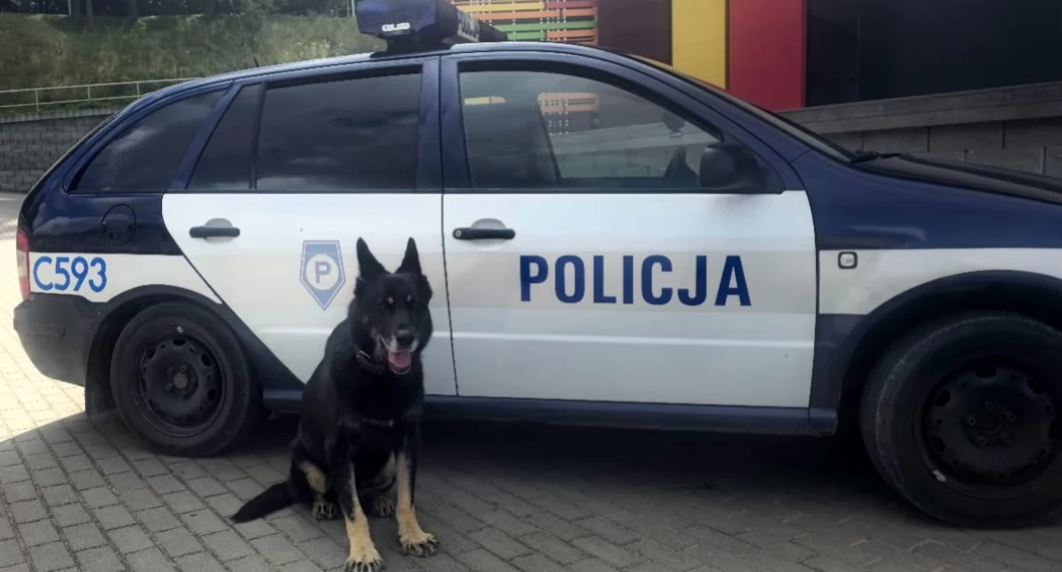 Zasłużona emerytura po 11 latach pracy w policji