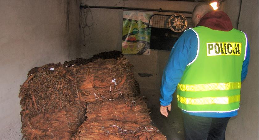 Ukrywał tytoń bez akcyzy