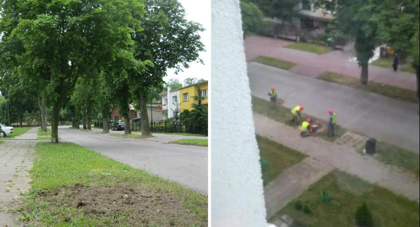 Zdobiło czy śmieciło?