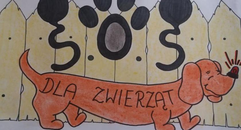 W służbie bezdomnym zwierzętom