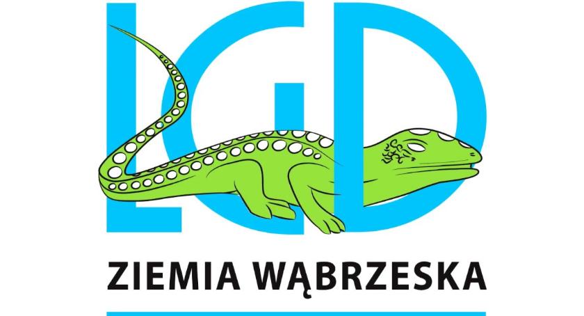 Różnorodność propozycji LGD