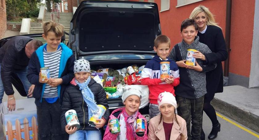 Stowarzyszenie S.O.S dla Zwierząt Wąbrzeźno z kolejną udaną akcją