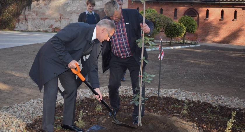 Dąb na kolejne 100 lat Niepodległej