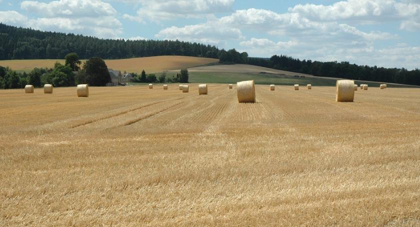 Prostsza ścieżka uzyskania dopłat