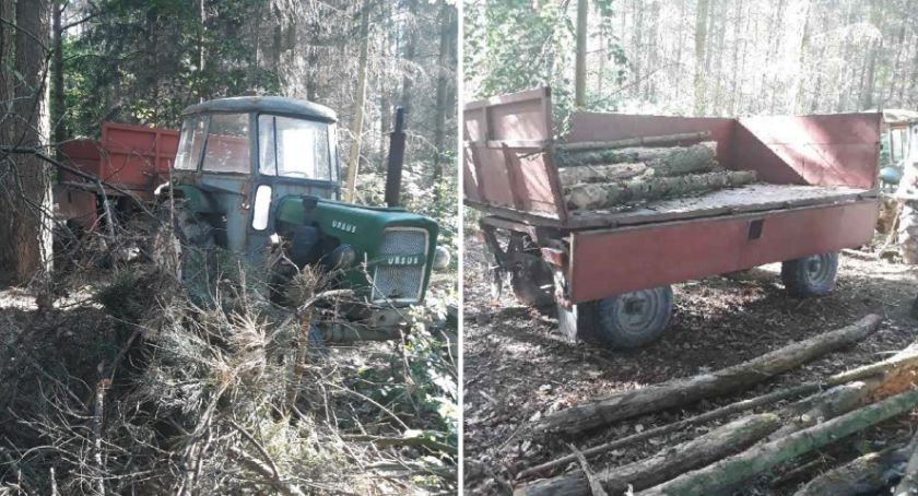 Złodzieje drewna zatrzymani 