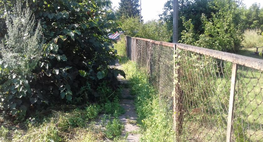 Na dworzec przez dżunglę?