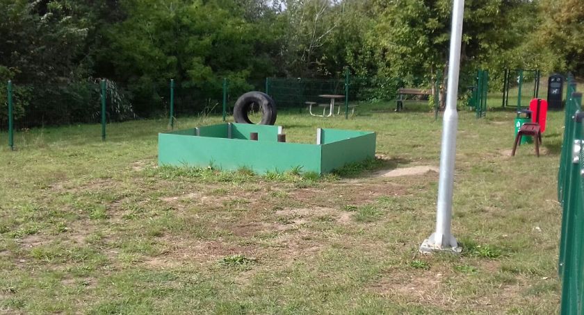 Agresywne psy terroryzują okolicę