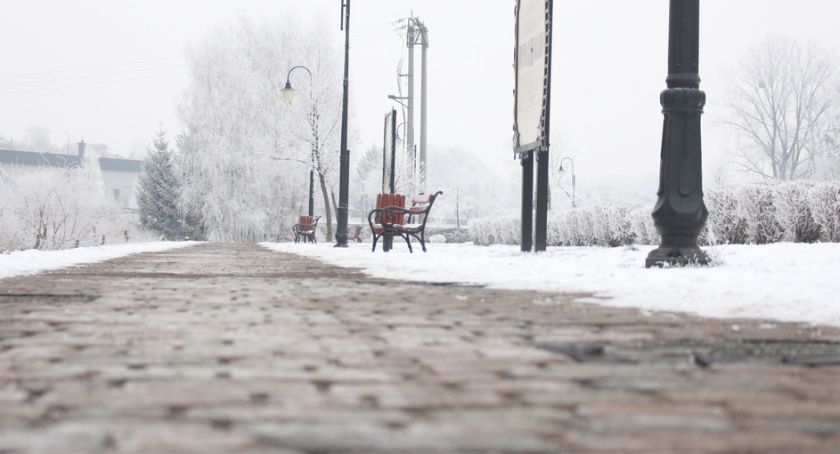 Przyznali dotacje na prawie 400 tys. zł