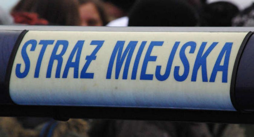 Jedni standaryzują,  inni likwidują