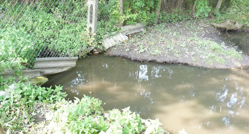 Ścieki zalewają mieszkankę Piskorczyna 