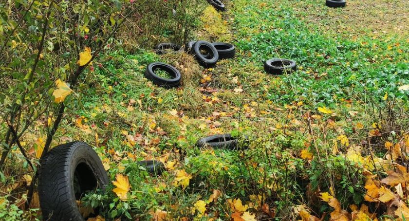 Zrobili sobie dzikie wysypisko