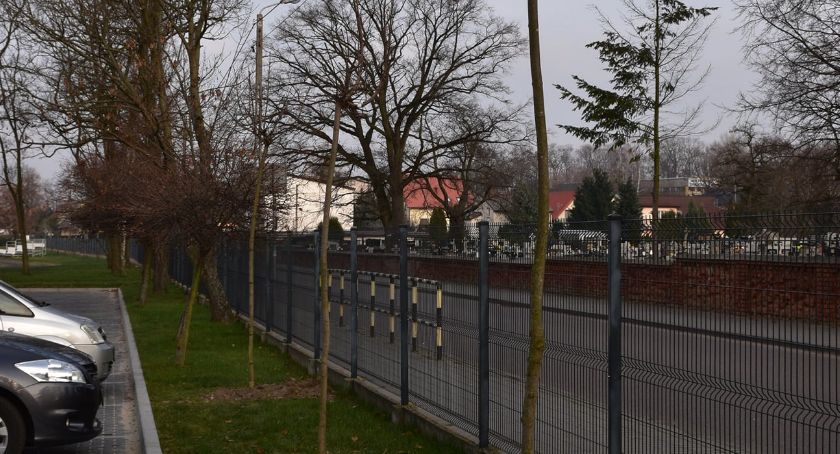 Nowe nasadzenia w Rypinie